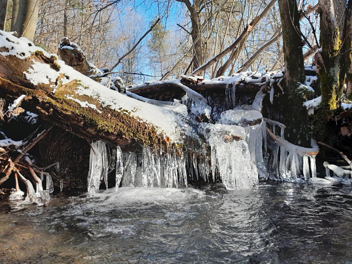 Appartamento Kuznia Nowica Uscie Gorlickie Esterno foto