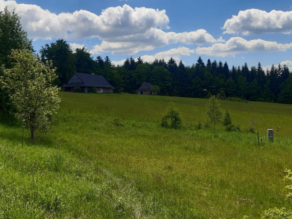 Appartamento Kuznia Nowica Uscie Gorlickie Esterno foto