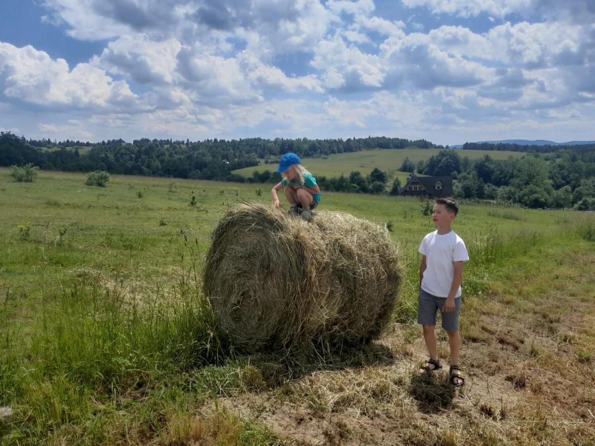 Appartamento Kuznia Nowica Uscie Gorlickie Esterno foto